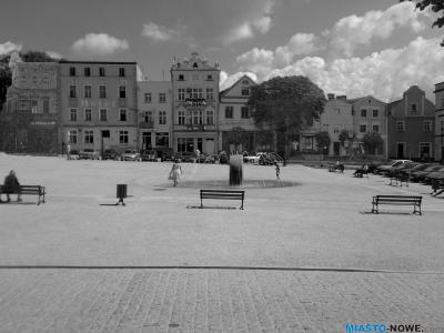 sjk9689rynek.png